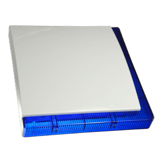 VEGA