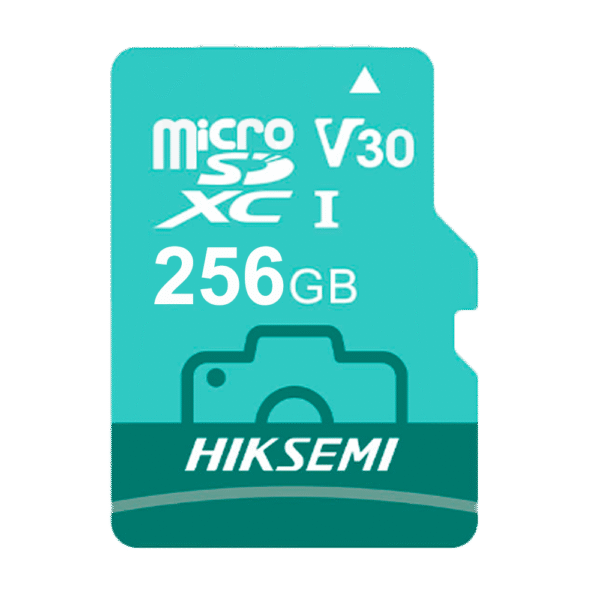 HS-TF-D3STD/256G/NEO LUX/WW