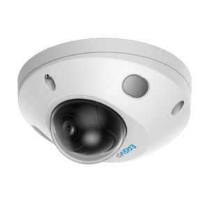 Cámara Domo IP AI EASY-P - EP-IPD310A-5-DL