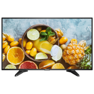 Monitor - DS-D5043QE
