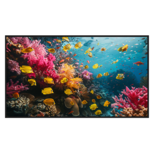 Monitor - DS-D6050UH-DP