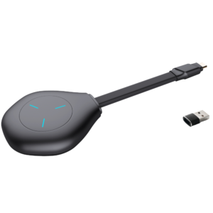 Dongle - IB-PTB1307